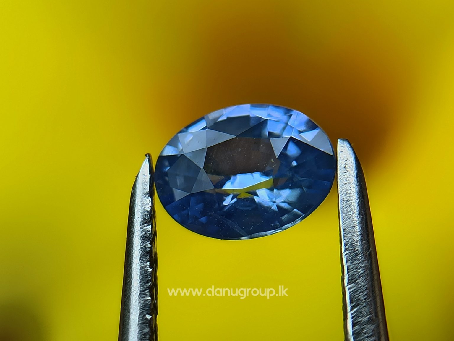 Ceylon Natural Blue Sapphire Pair for Earrings - danugroup.lk