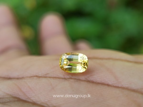 Ceylon Natural Top Grade Yellow Sapphire danugroup Gemstones - danugroup.lk