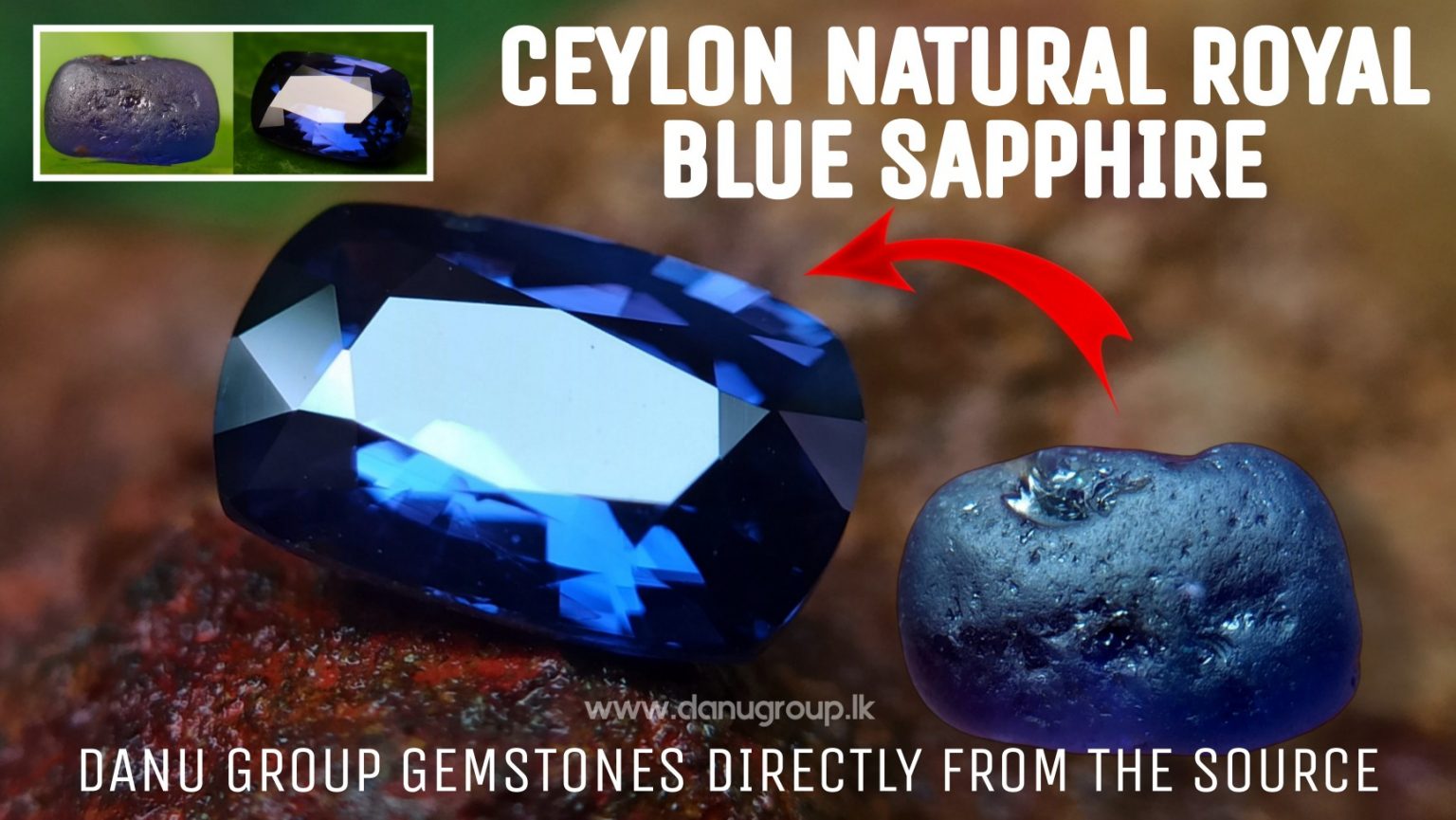 Ceylon Natural Vivid Royal Blue Sapphire Best Grade Unheated Gemstones - danugroup.lk