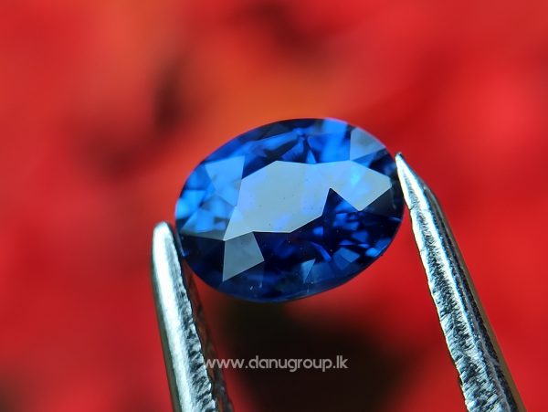 Ceylon Natural Vivid Royal Blue Sapphire Pair Danu Group Gemstones Collection - danugroup.lk