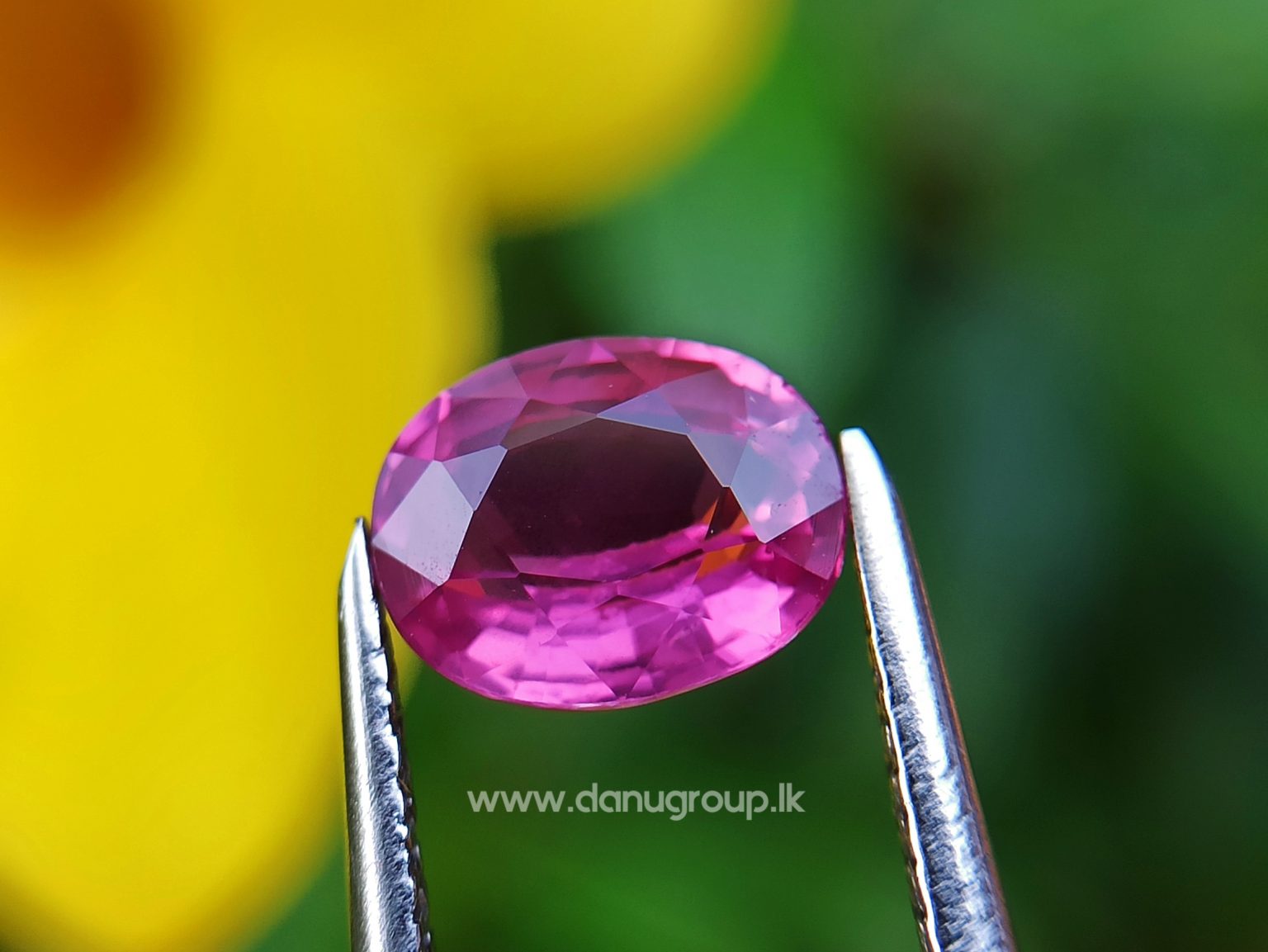 Hot Pink Sapphire Vibrant Pink Color Bubble Gum Pink Colour Sapphire Danu Group gemstones danugroup.lk