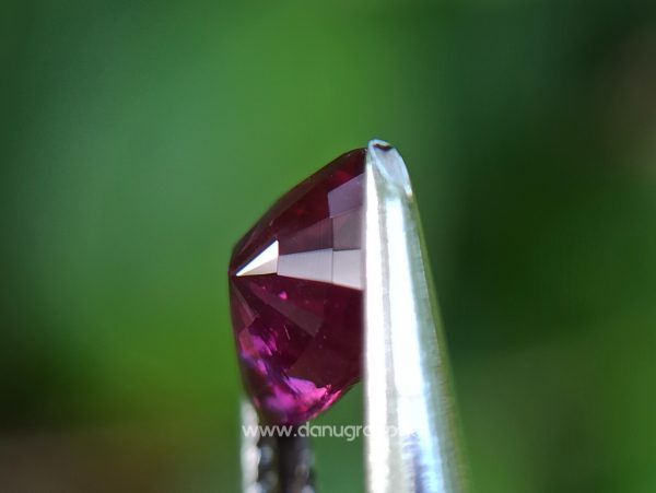 Natural Ruby King of the gems Danu group Gemstones Collection