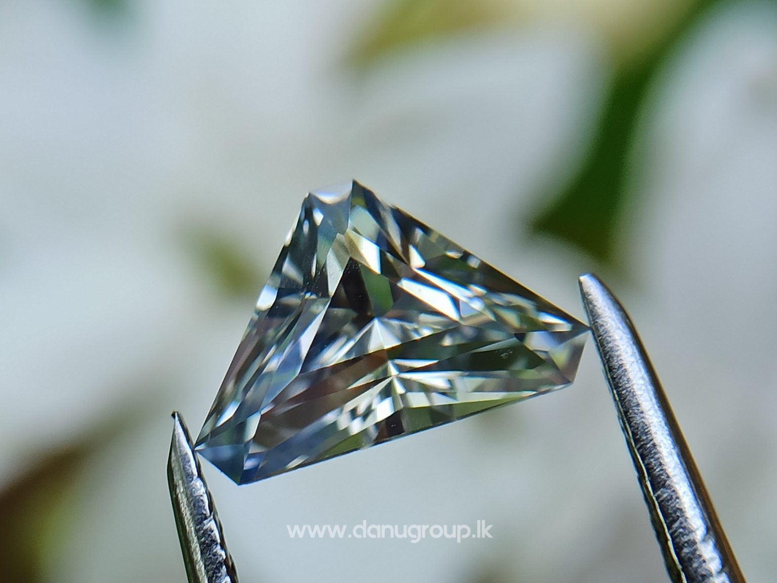 danugroup.lk - Ceylon Natural Bi-Color Sapphire from Danu Group Gemstones Collections