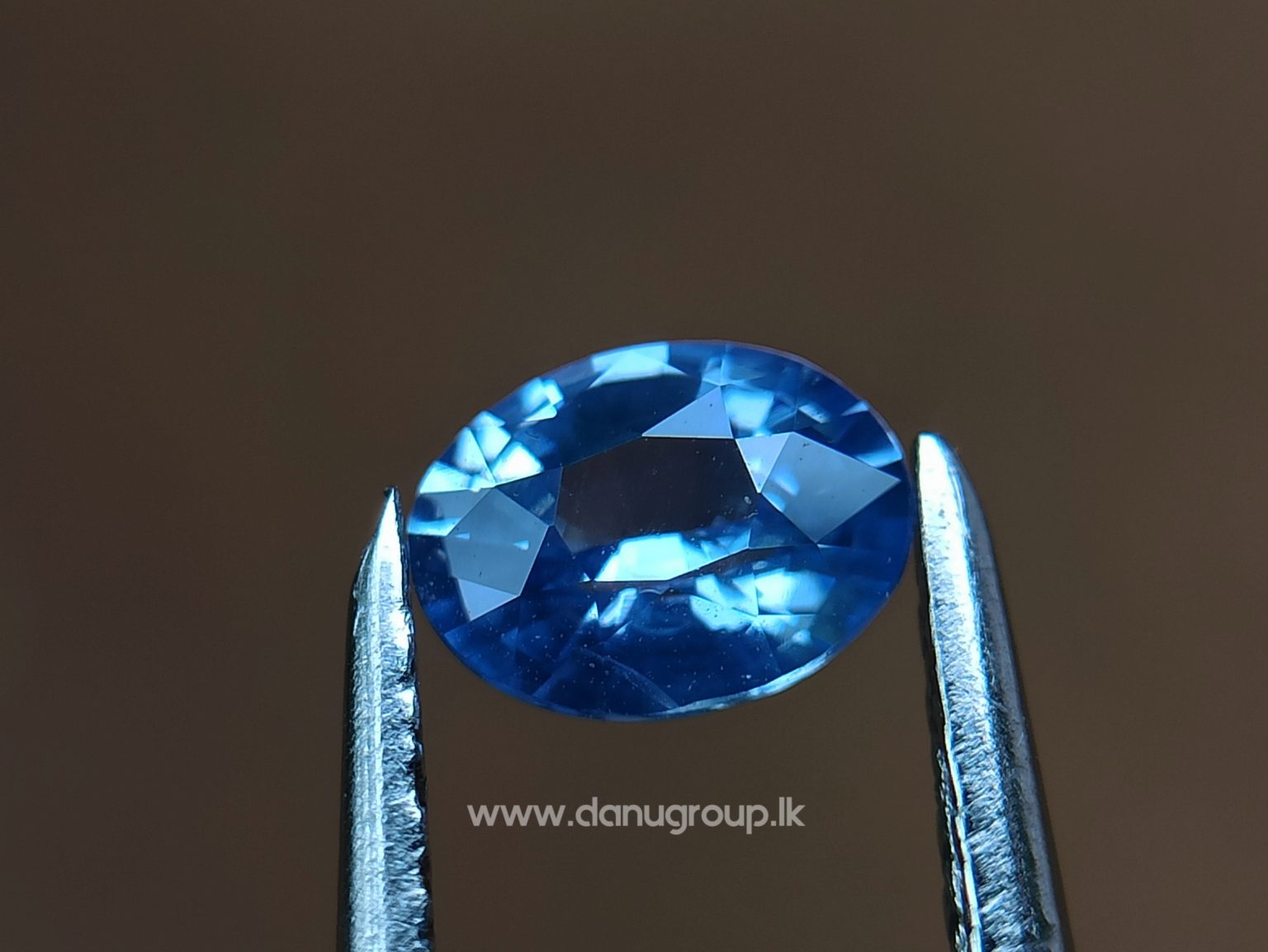 Ceylon Natural Blue Sapphire Pair for Earrings - danugroup.lk