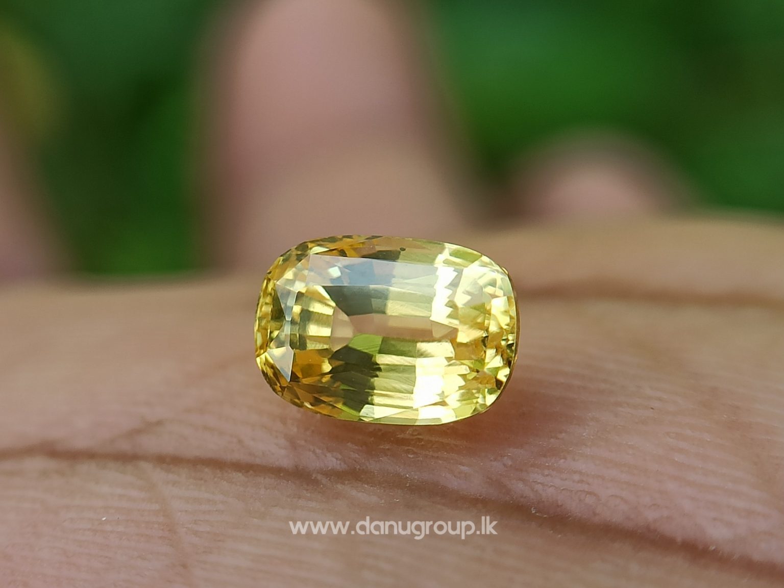 Ceylon Natural Top Grade Yellow Sapphire danugroup Gemstones - danugroup.lk