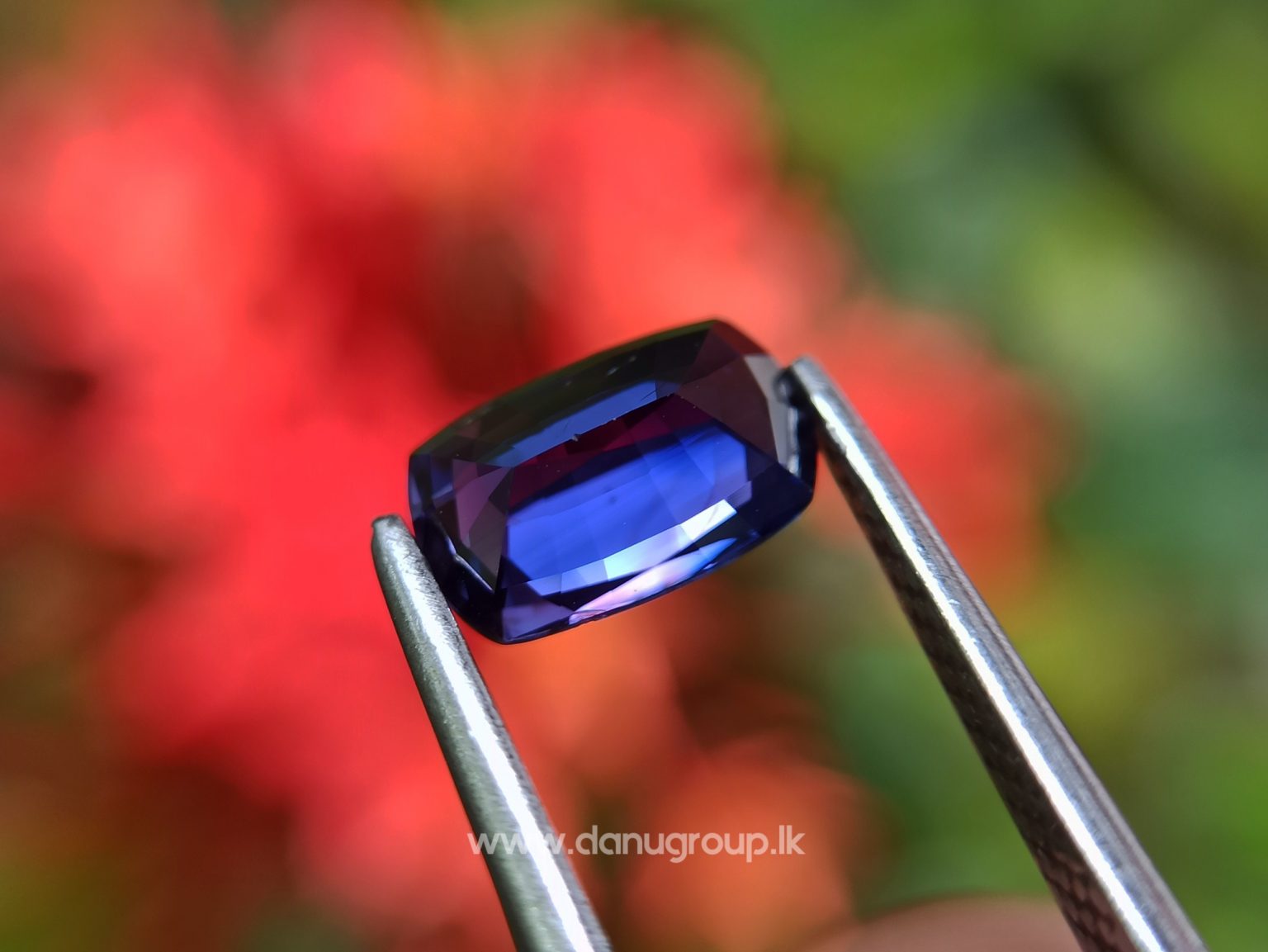 Ceylon Natural Vivid Royal Blue Sapphire Best Grade Unheated Gemstones - danugroup.lk
