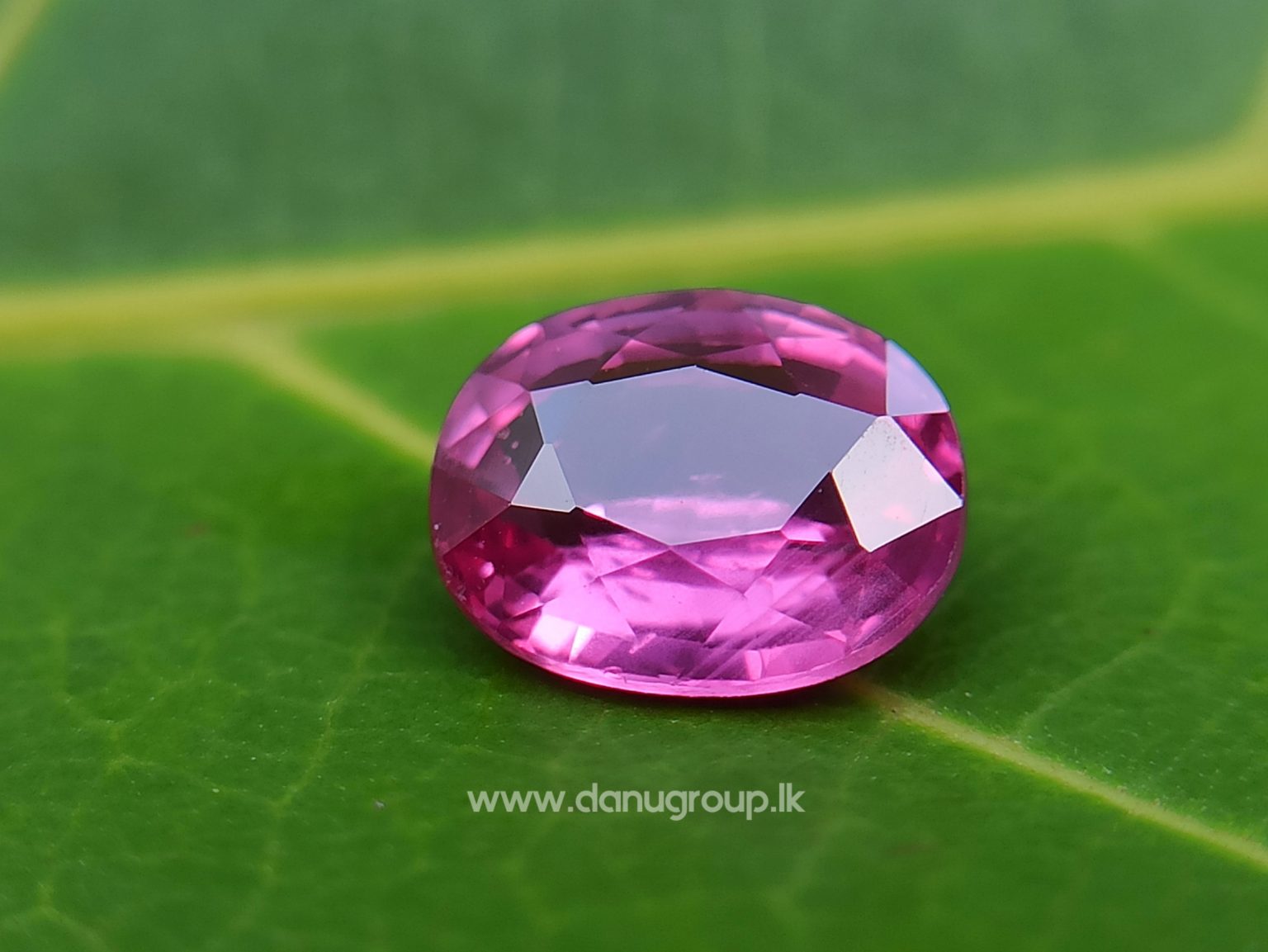 Hot Pink Sapphire Vibrant Pink Color Bubble Gum Pink Colour Sapphire Danu Group gemstones danugroup.lk