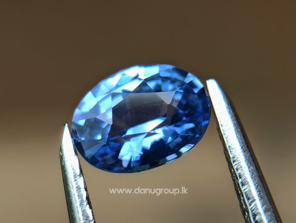 Ceylon Natural Blue Sapphire Pair for Earrings - danugroup.lk