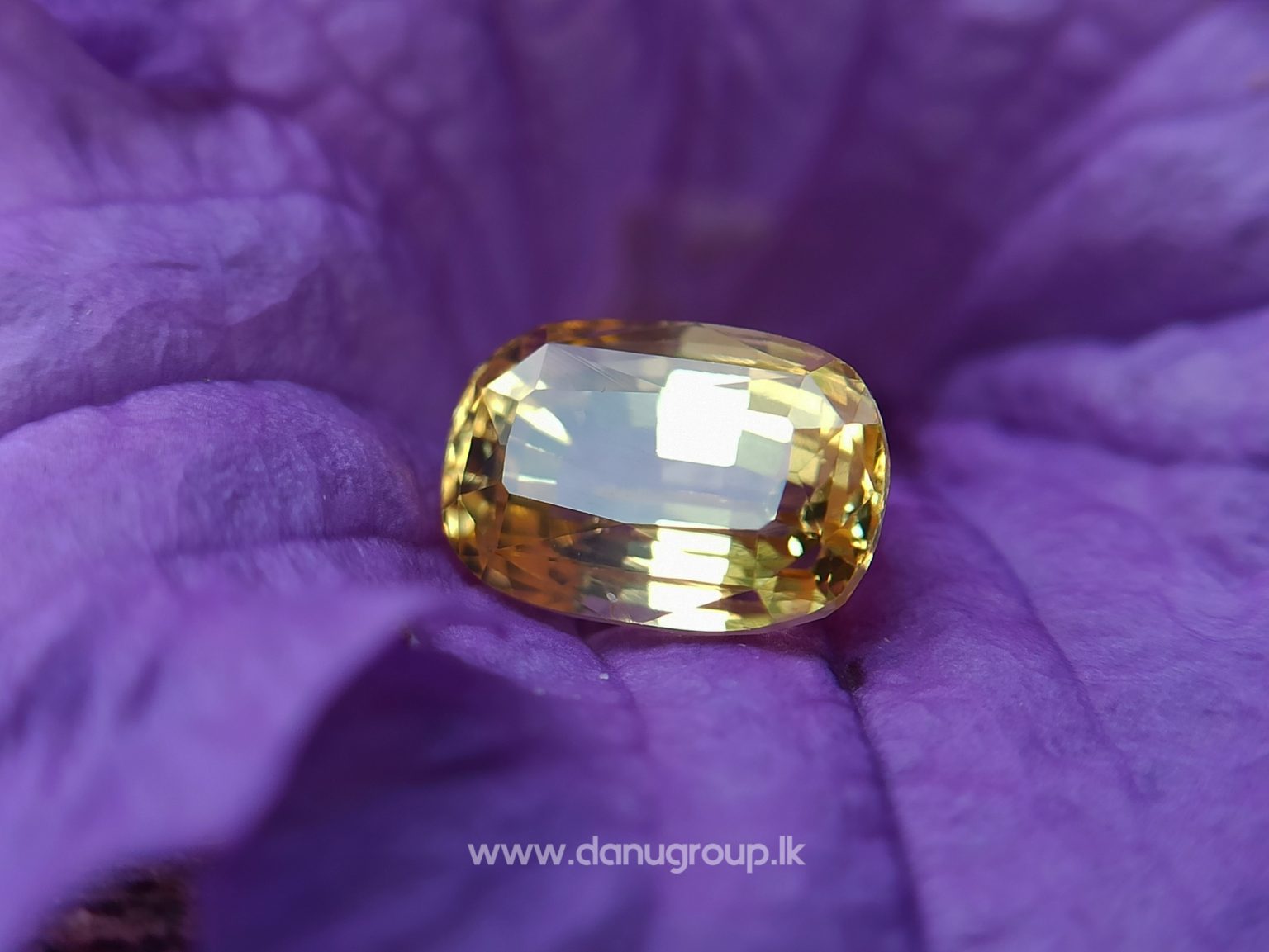 Ceylon Natural Top Grade Yellow Sapphire danugroup Gemstones - danugroup.lk