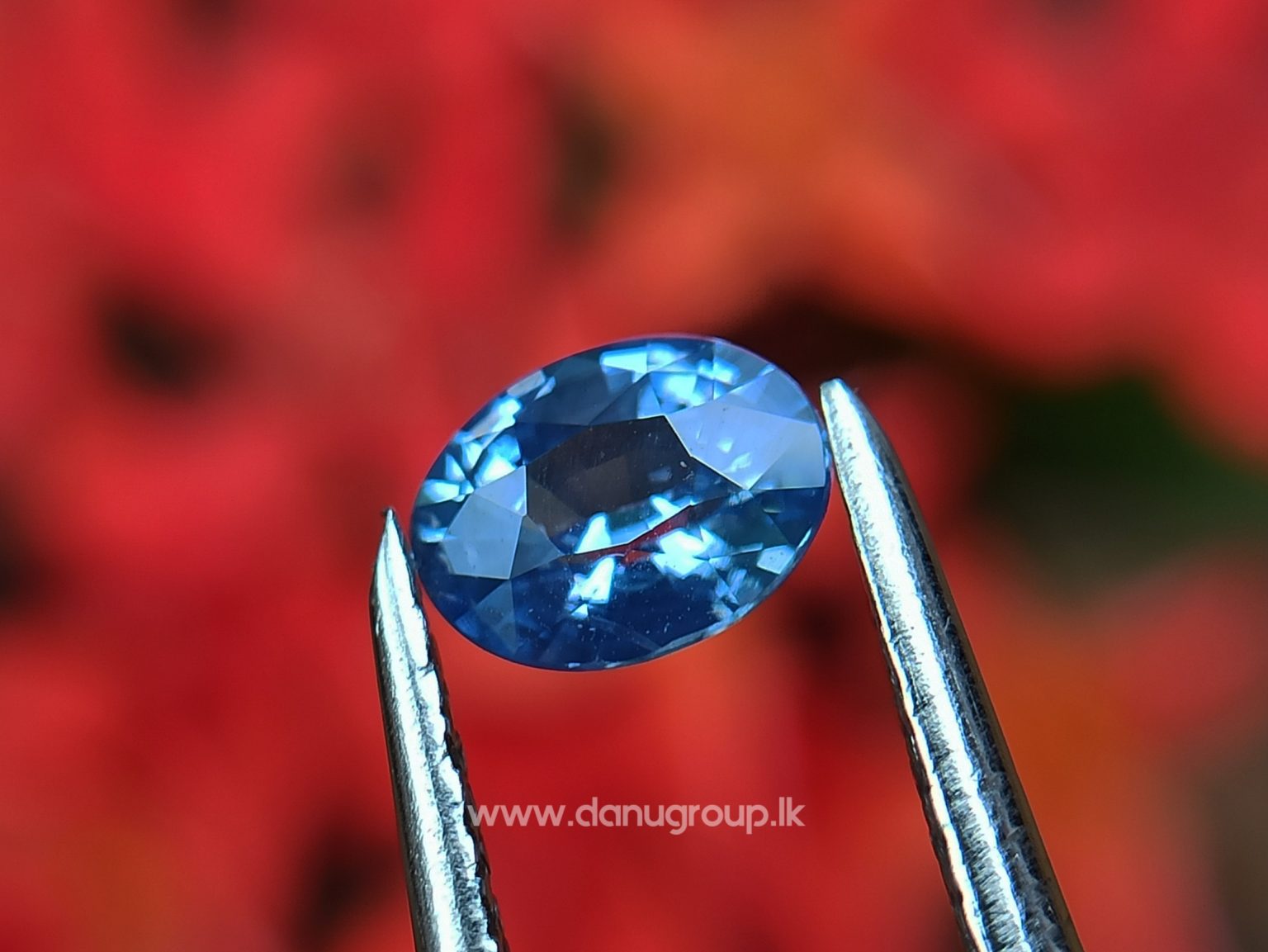 Ceylon Natural Blue Sapphire Pair for Earrings - danugroup.lk