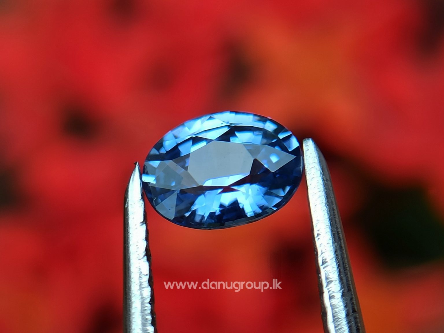 Ceylon Natural Blue Sapphire Pair for Earrings - danugroup.lk