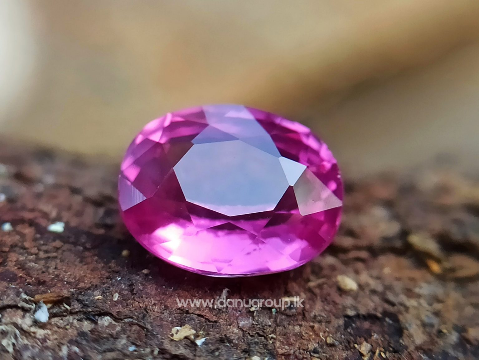 Hot Pink Sapphire Vibrant Pink Color Bubble Gum Pink Colour Sapphire Danu Group gemstones danugroup.lk