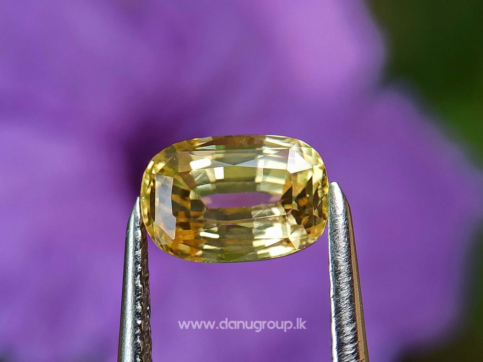 Ceylon Natural Top Grade Yellow Sapphire danugroup Gemstones - danugroup.lk