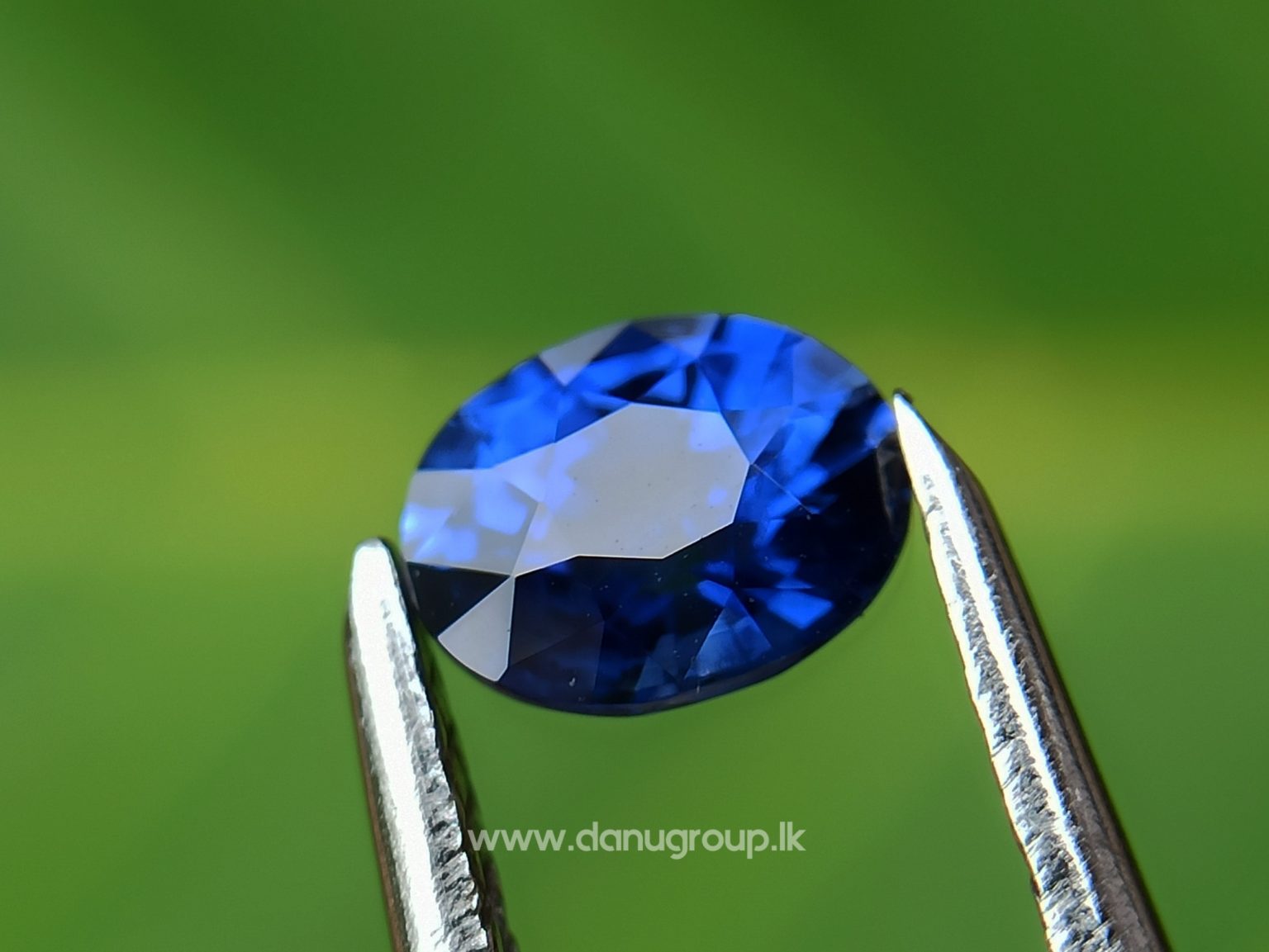 Ceylon Natural Vivid Royal Blue Sapphire Pair Danu Group Gemstones Collection - danugroup.lk
