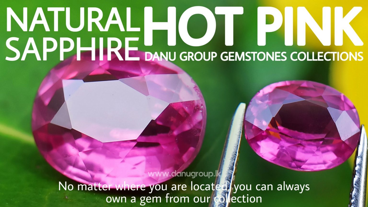 Hot Pink Sapphire Vibrant Pink Color Bubble Gum Pink Colour Sapphire Danu Group gemstones danugroup.lk