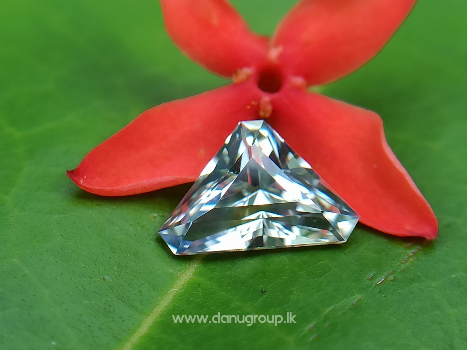 danugroup.lk - Ceylon Natural Bi-Color Sapphire from Danu Group Gemstones Collections