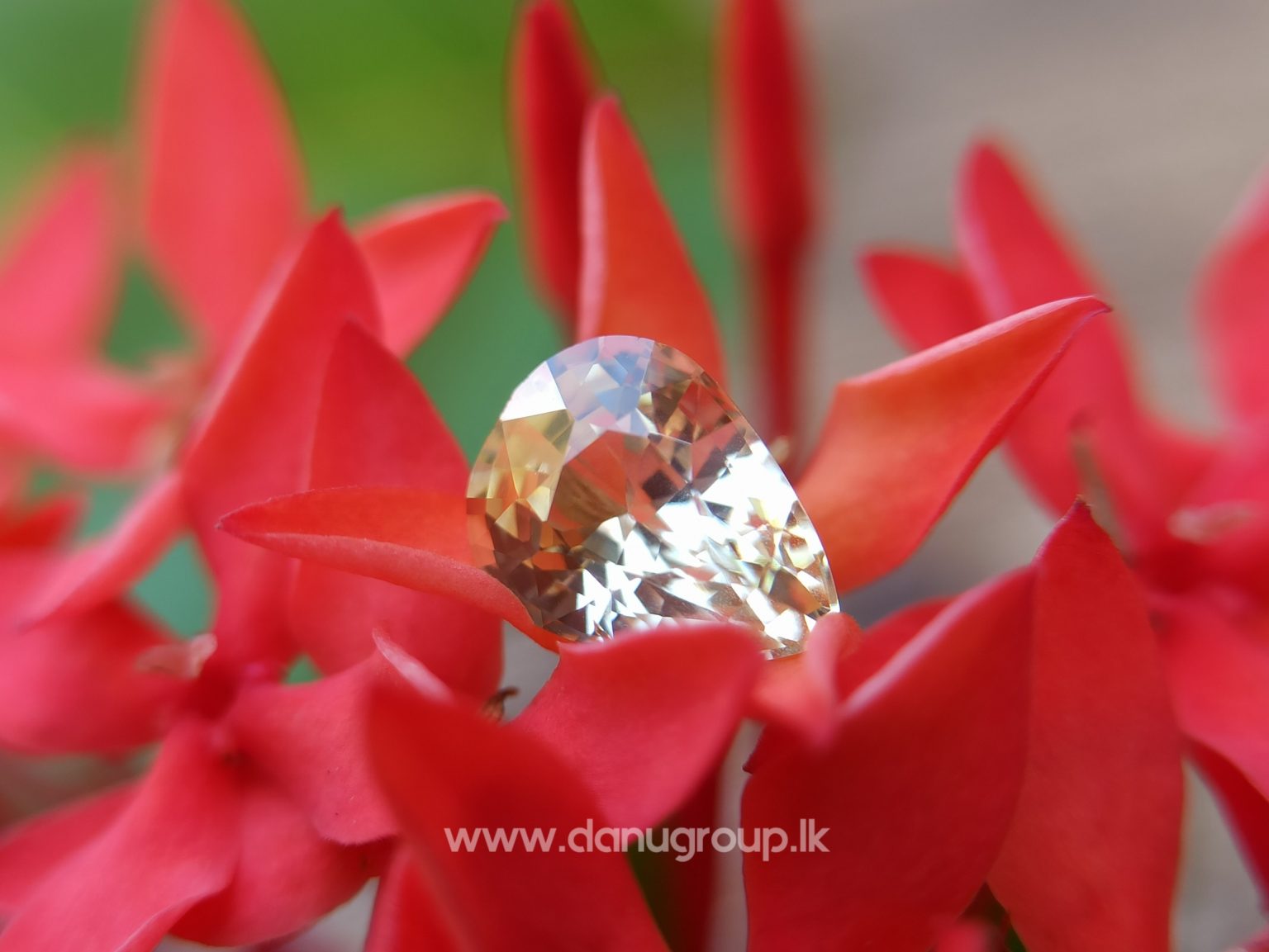 Ceylon Natural Yellow Sapphire - danugroup.lk