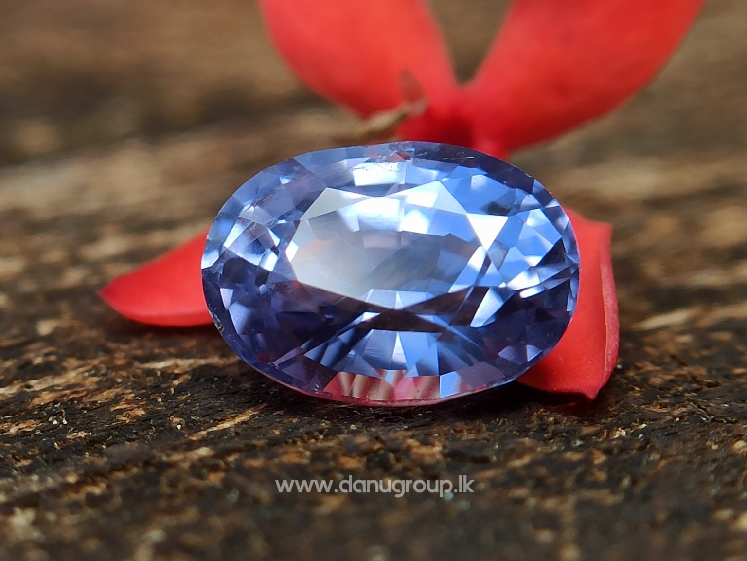 Ceylon Natural Purple Sapphire Oval Shape Gemstone Danu Group Gemstones - danugroup.lk
