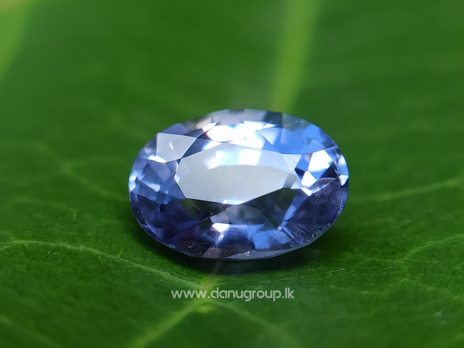 Ceylon Natural Purple Sapphire Oval Shape Gemstone Danu Group Gemstones - danugroup.lk