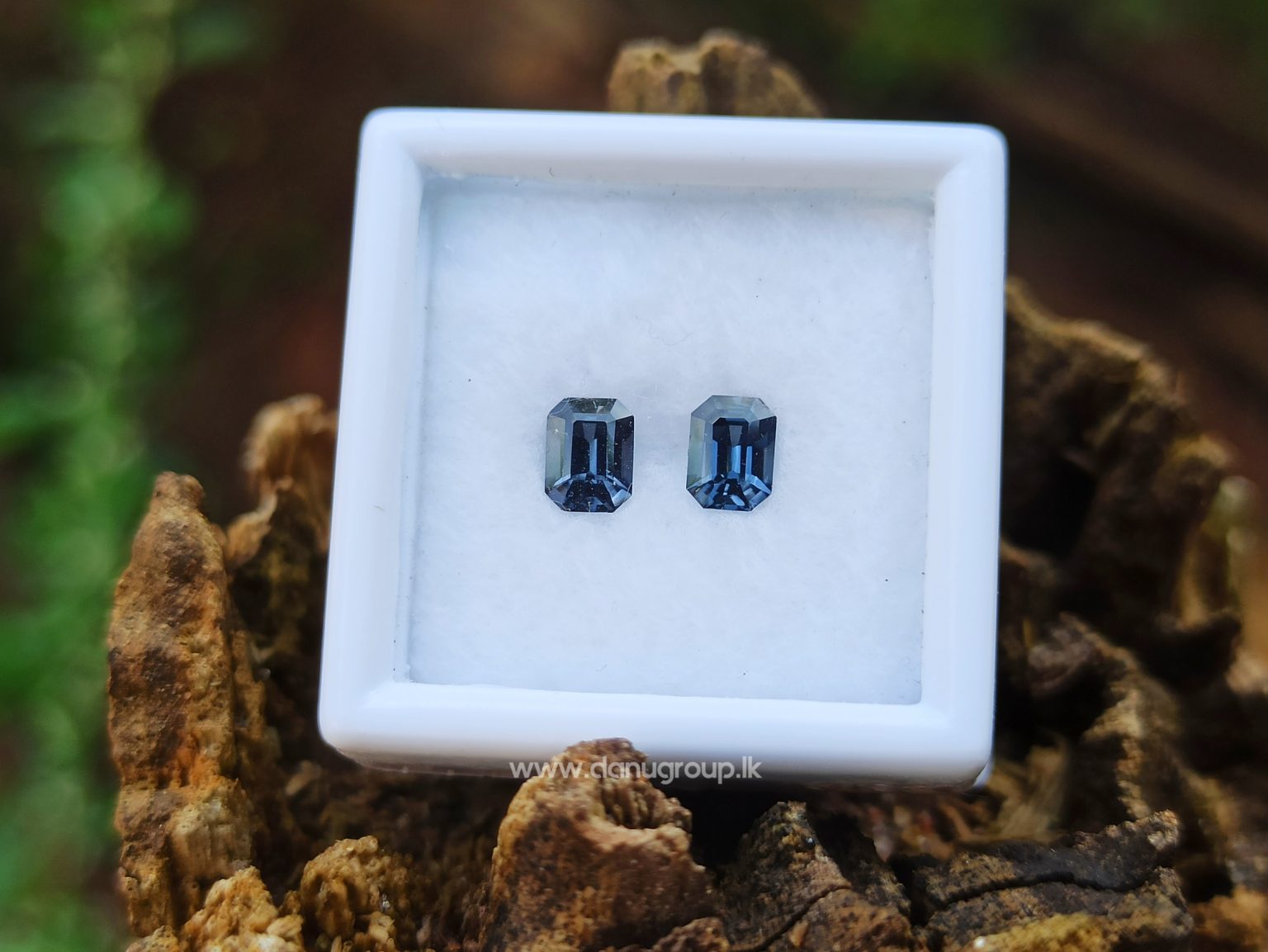 Ceylon Natural Spinel Pair Octagon Shape Pair - danugroup.lk