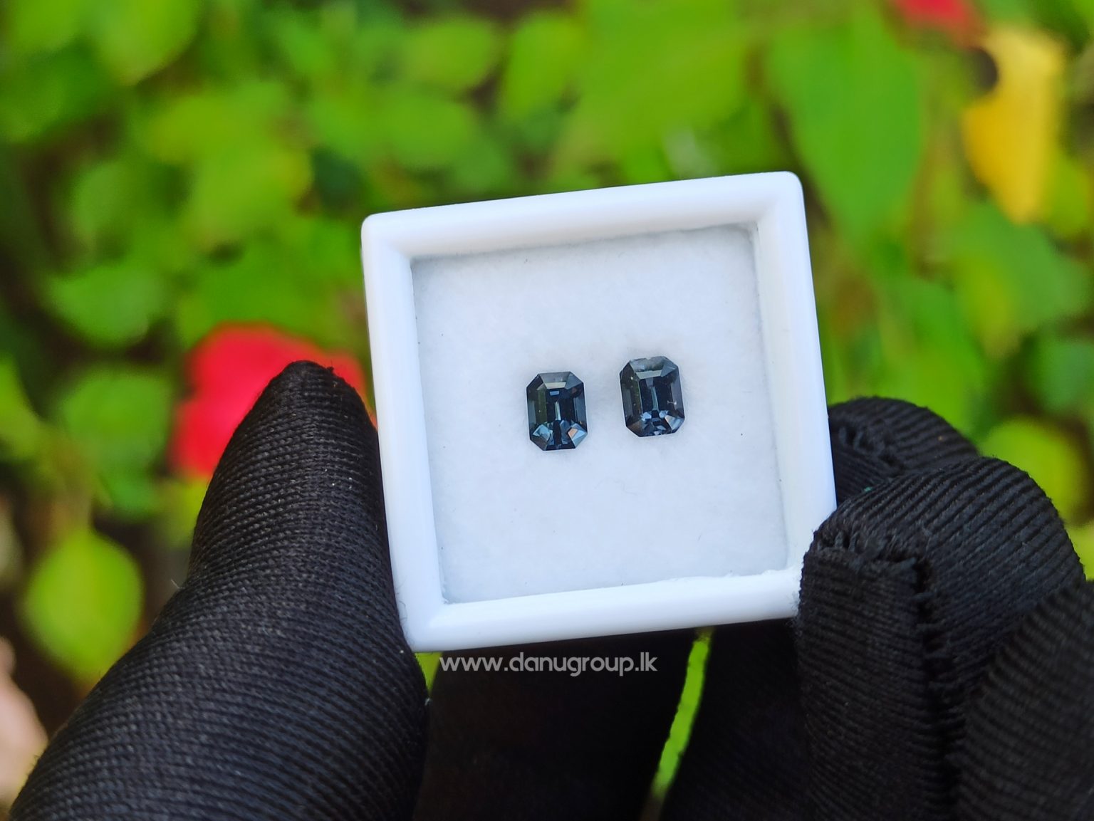 Ceylon Natural Spinel Pair Octagon Shape Pair - danugroup.lk