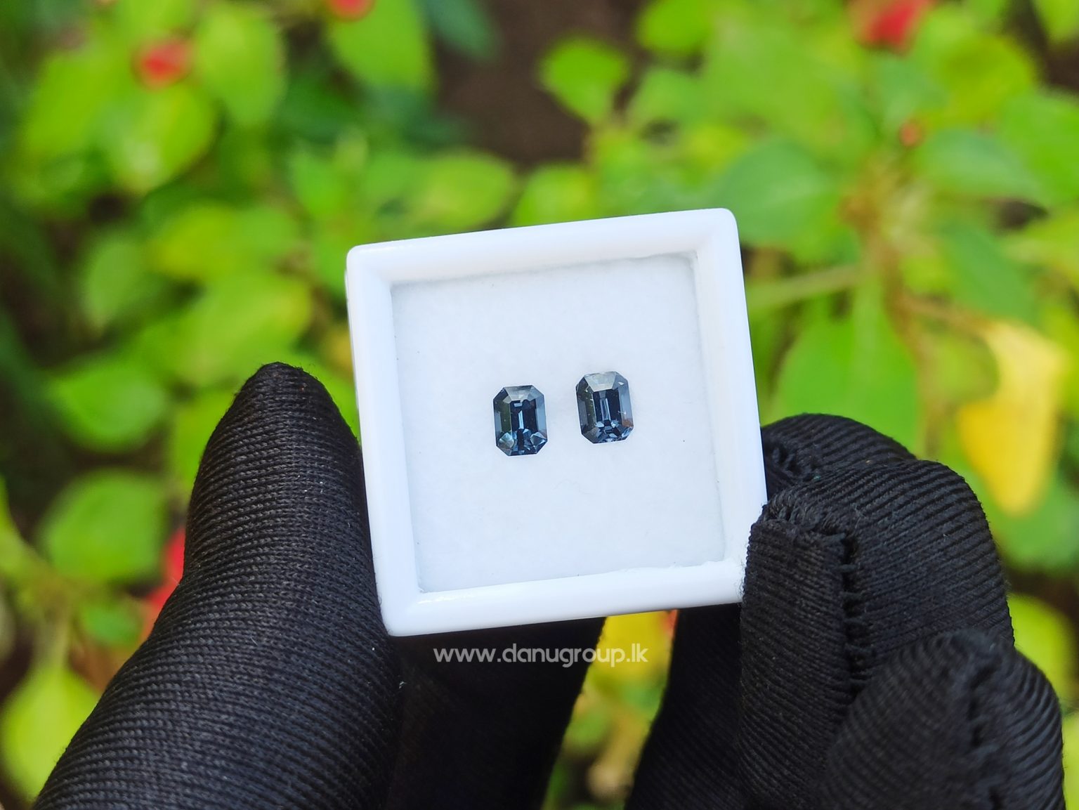 Ceylon Natural Spinel Pair Octagon Shape Pair - danugroup.lk