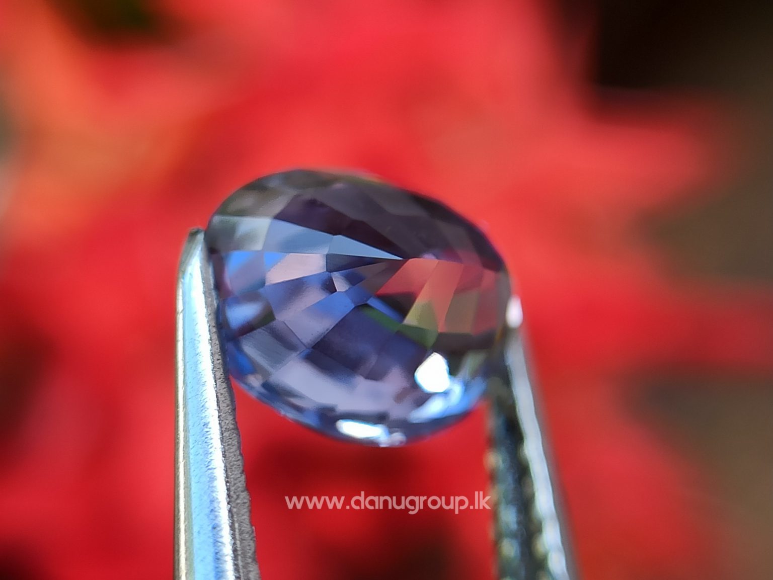 Ceylon Natural Purple Sapphire Oval Shape Gemstone Danu Group Gemstones - danugroup.lk