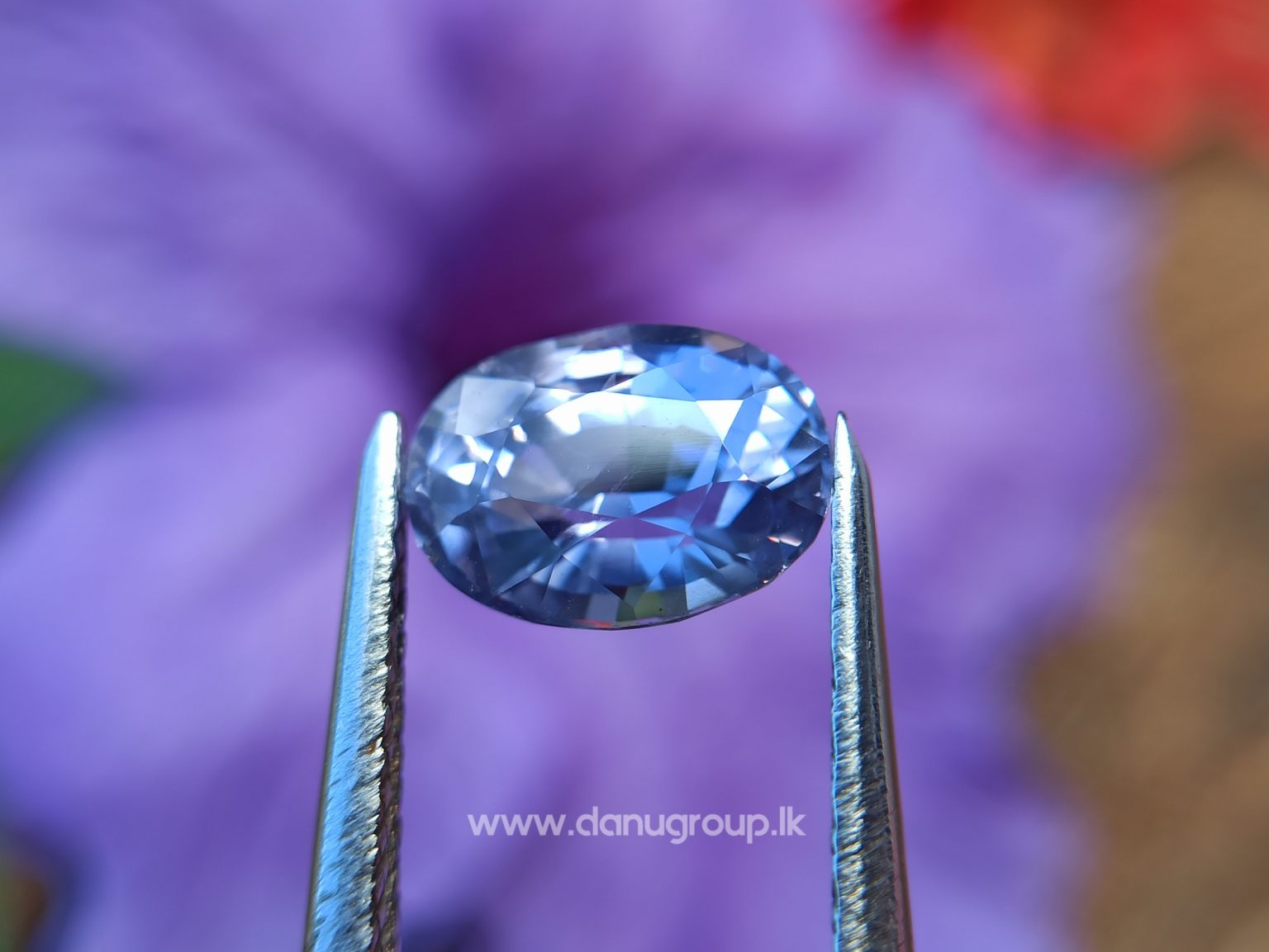 Ceylon Natural Purple Sapphire Oval Shape Gemstone Danu Group Gemstones - danugroup.lk