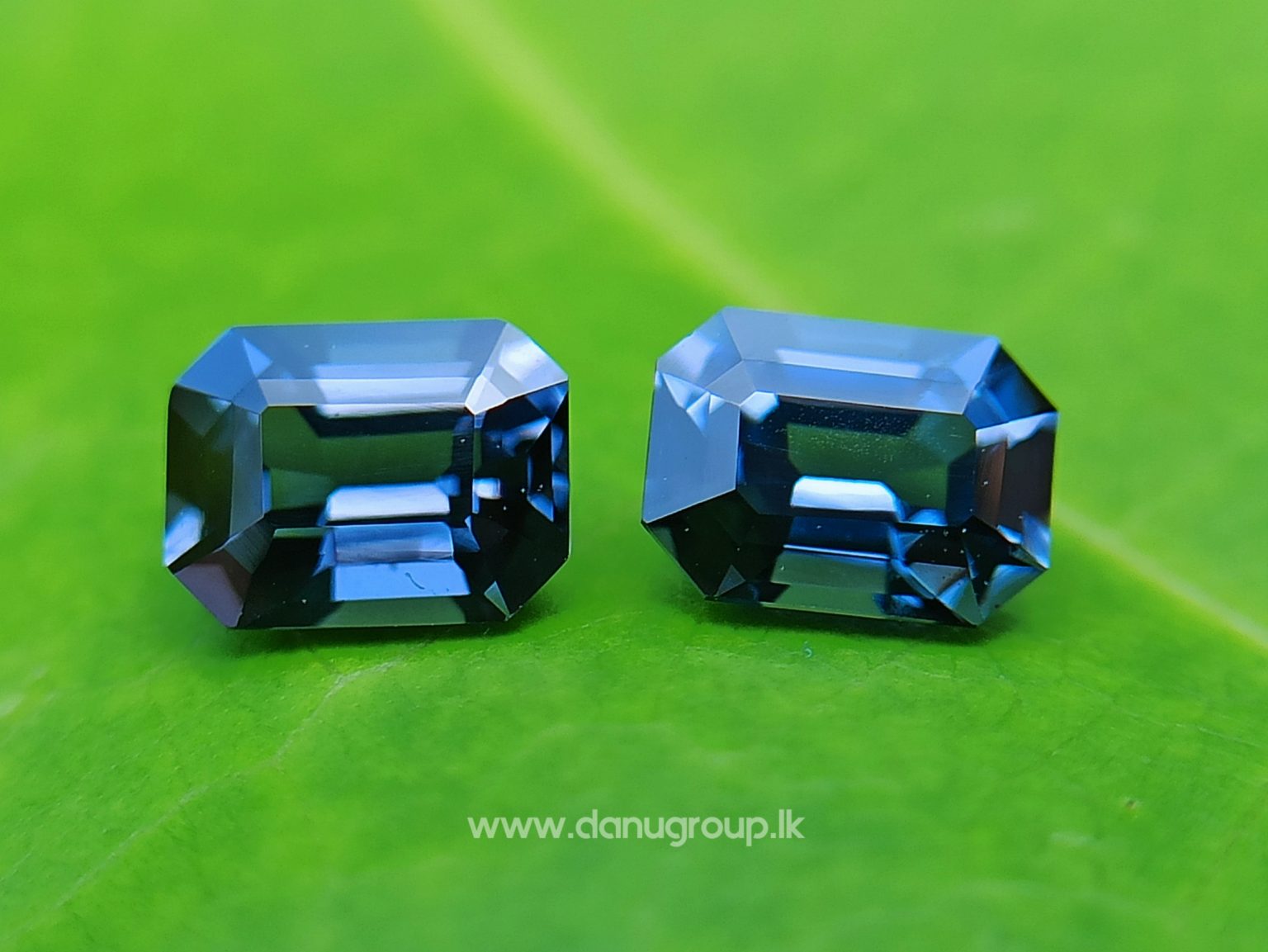Ceylon Natural Spinel Pair Octagon Shape Pair - danugroup.lk