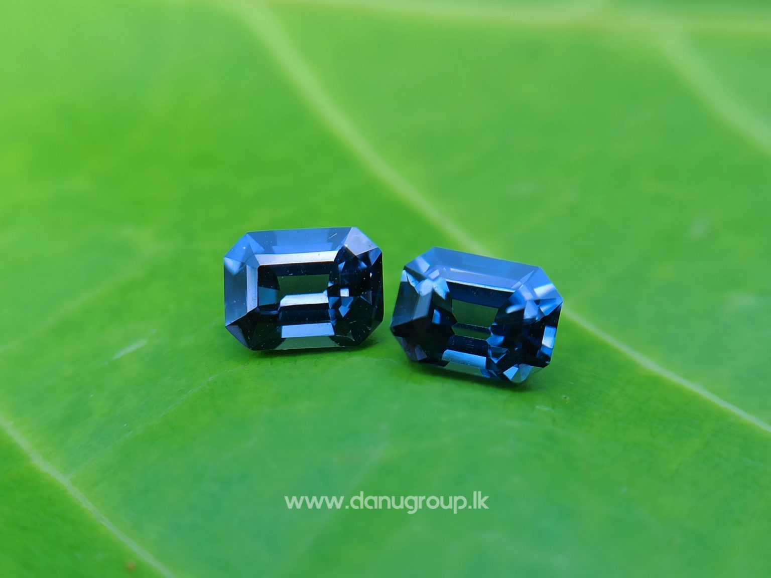 Ceylon Natural Spinel Pair Octagon Shape Pair - danugroup.lk