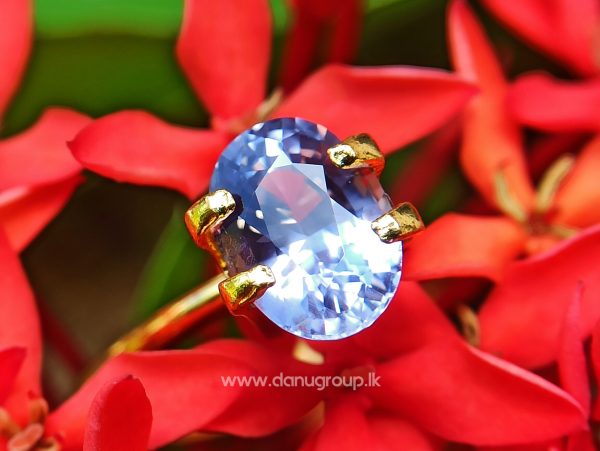 Ceylon Natural Purple Sapphire Oval Shape Gemstone Danu Group Gemstones - danugroup.lk