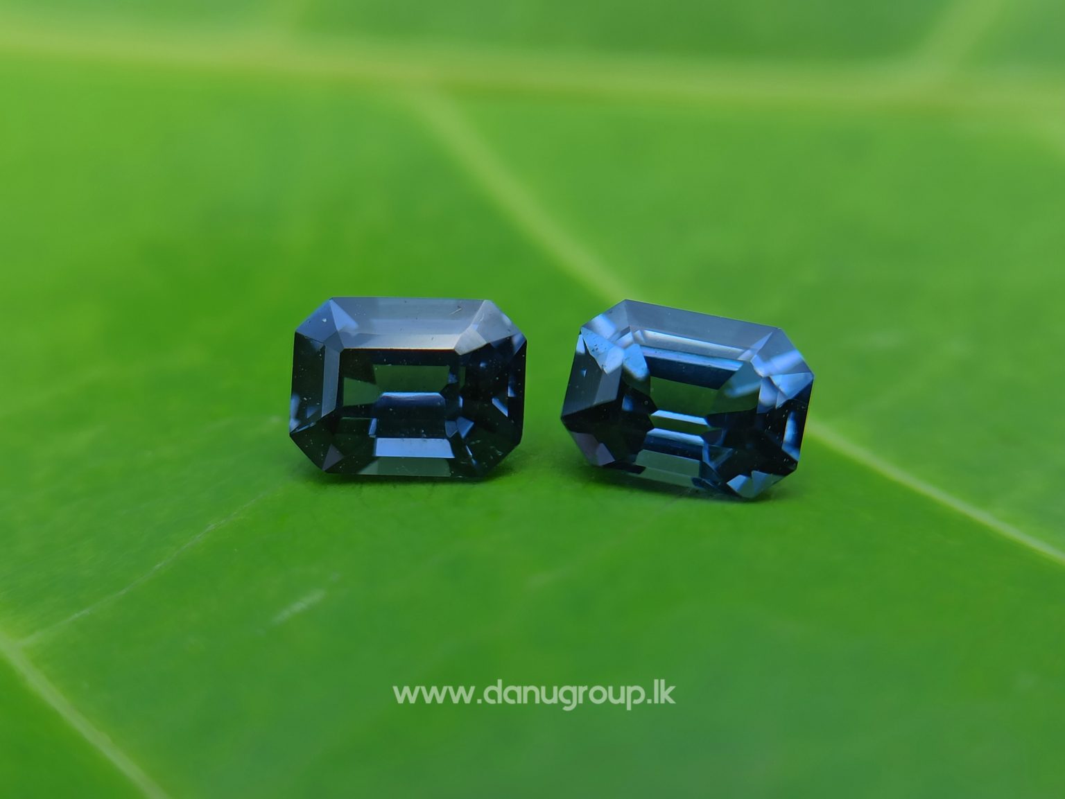 Ceylon Natural Spinel Pair Octagon Shape Pair - danugroup.lk