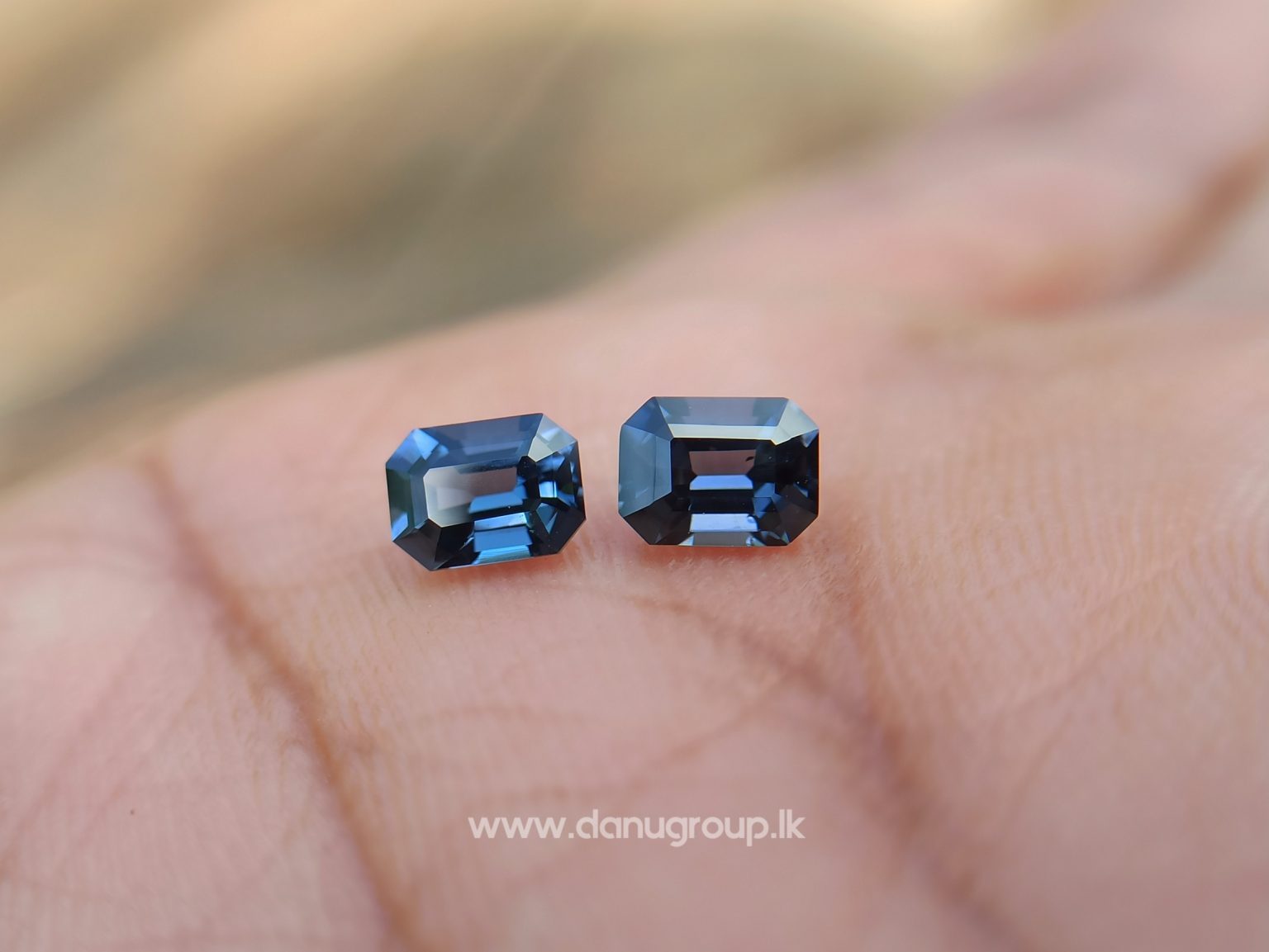 Ceylon Natural Spinel Pair Octagon Shape Pair - danugroup.lk