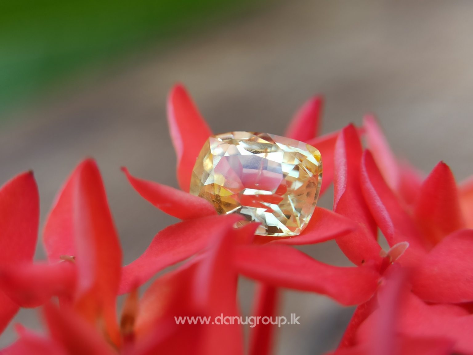 Ceylon Natural Yellow Sapphire - danugroup.lk