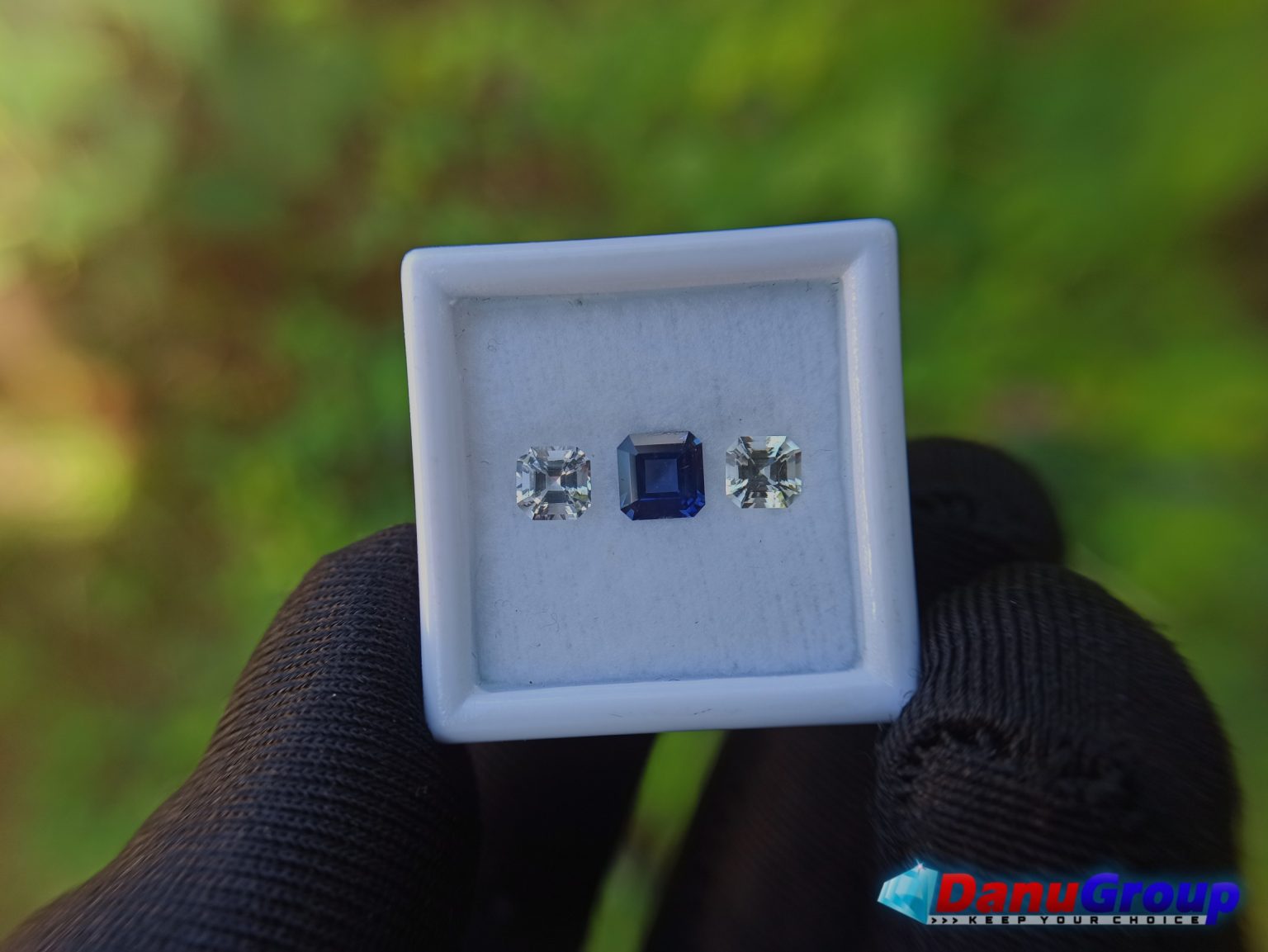 Ceylon Natural Vivid Royal Blue Sapphire with fancy Sapphire couple for fine Jewelry Design - Danu Group danugroup.lk