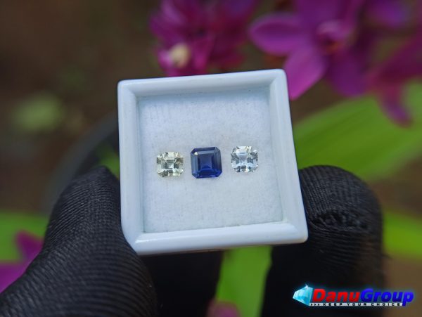 Ceylon Natural Vivid Royal Blue Sapphire with fancy Sapphire couple for fine Jewelry Design - Danu Group danugroup.lk