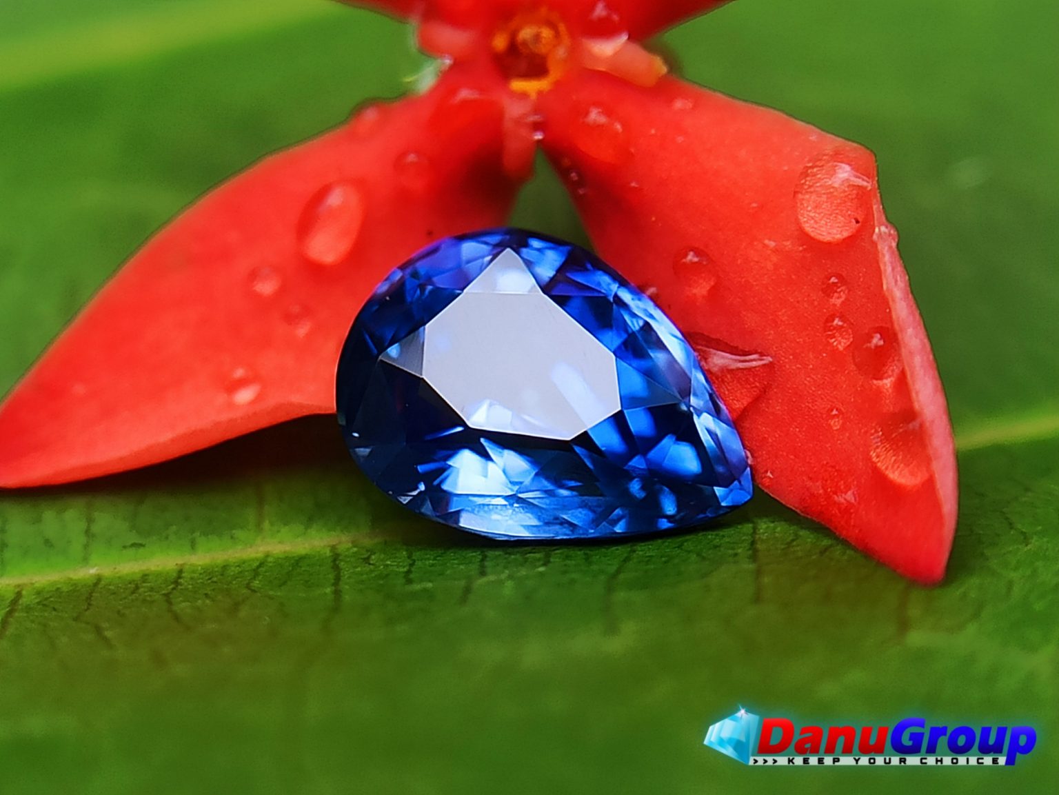 Ceylon Natural Blue Sapphire Cornflower Blue Drop Shape Gemstone - danugroup.lk