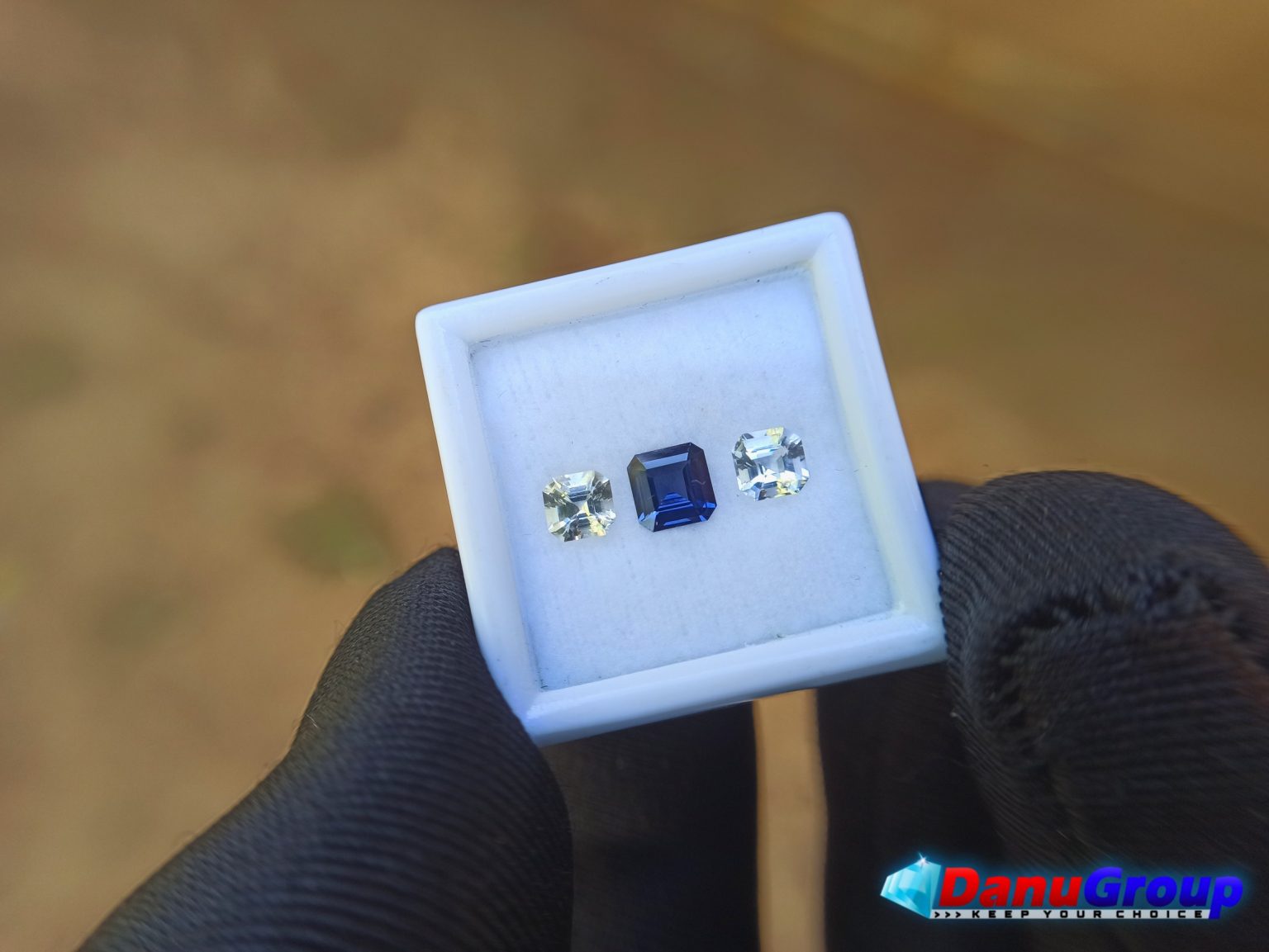 Ceylon Natural Vivid Royal Blue Sapphire with fancy Sapphire couple for fine Jewelry Design - Danu Group danugroup.lk