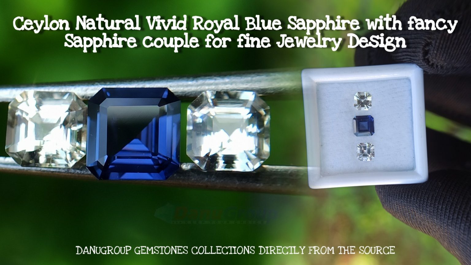 Ceylon Natural Vivid Royal Blue Sapphire with fancy Sapphire couple for fine Jewelry Design - Danu Group danugroup.lk
