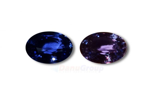 Natural Colour Change Sapphire Danu Group Gemstones Collections Blue to Purple Change