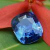 Ceylon Natural Cornflower Blue Sapphire Cushion shape Gemstone from Danu Group Gemstones Collections - danugroup.lk