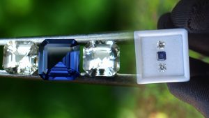 Ceylon Natural Vivid Royal Blue Sapphire with fancy Sapphire couple for fine Jewelry Design - Danu Group danugroup.lk