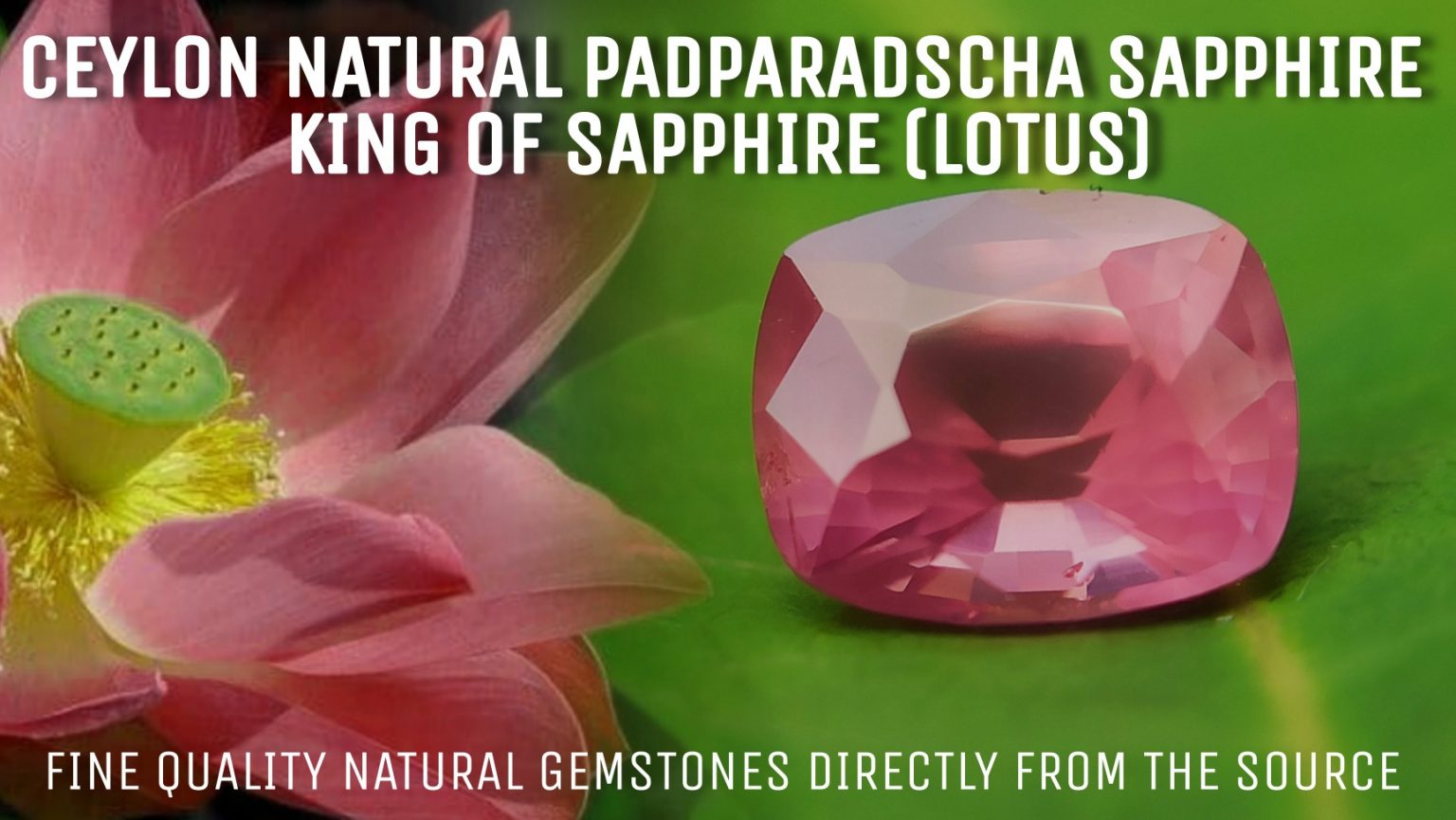 King of Sapphire - Natural Padparadshcha Sapphire Orangy Pink Danu Group Gemstones- danugroup.lk