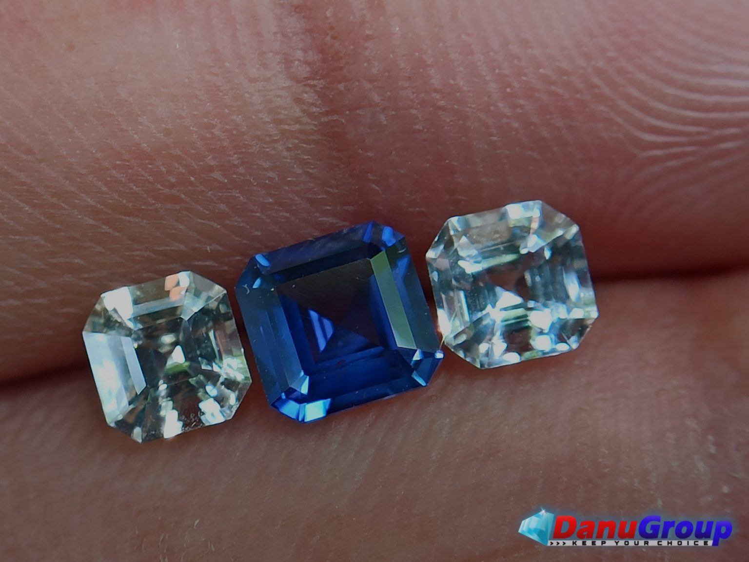 Ceylon Natural Vivid Royal Blue Sapphire with fancy Sapphire couple for fine Jewelry Design - Danu Group danugroup.lk