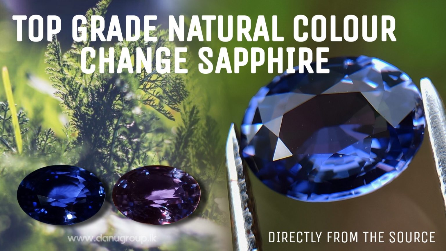 Natural Colour Change Sapphire Danu Group Gemstones Collections Blue to Purple Change