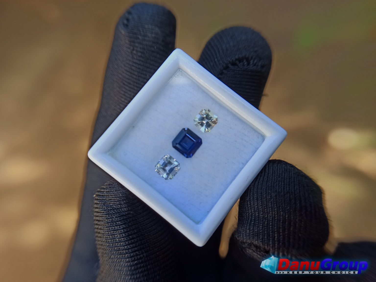 Ceylon Natural Vivid Royal Blue Sapphire with fancy Sapphire couple for fine Jewelry Design - Danu Group danugroup.lk