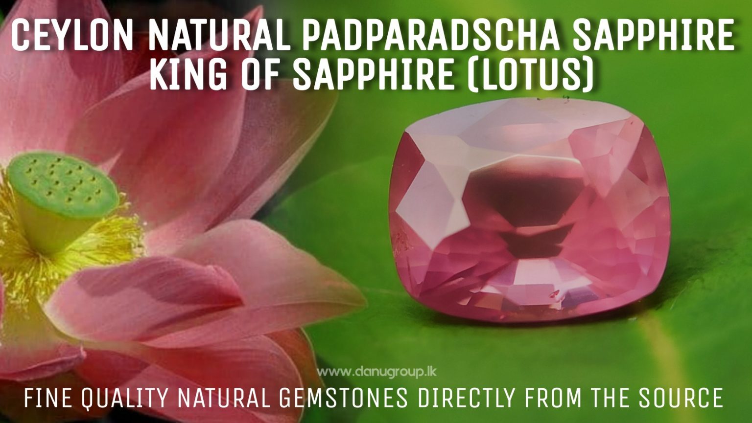 King of Sapphire - Natural Padparadshcha Sapphire Orangy Pink Danu Group Gemstones- danugroup.lk