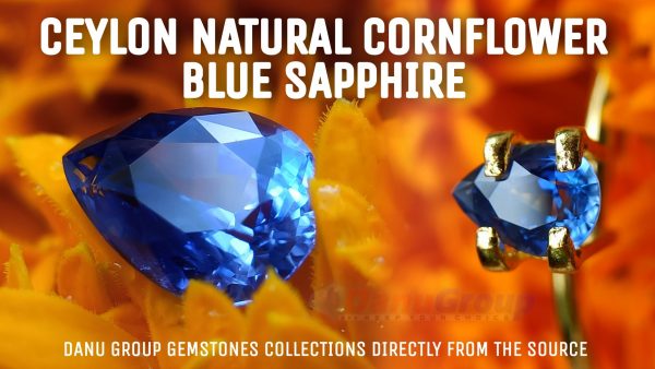 Ceylon Natural Cornflower Blue Sapphire Cushion shape Gemstone from Danu Group Gemstones Collections - danugroup.lk