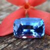 Ceylon Natural Blue Sapphire Top Grade Natural Blue Sapphire from Danu Group Gemstones