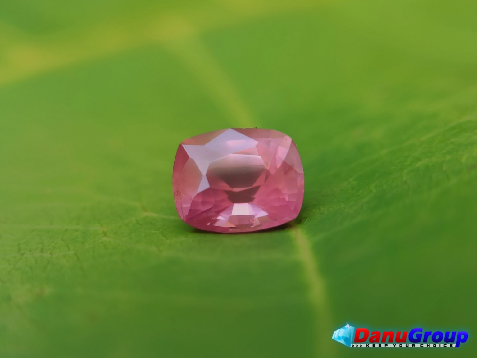 King of Sapphire - Natural Padparadshcha Sapphire Orangy Pink Danu Group Gemstones- danugroup.lk